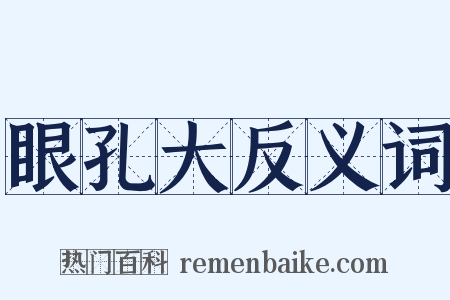 眼孔大反义词是什么意思的图片